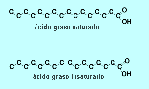 Ácidos grasos saturados e insaturados