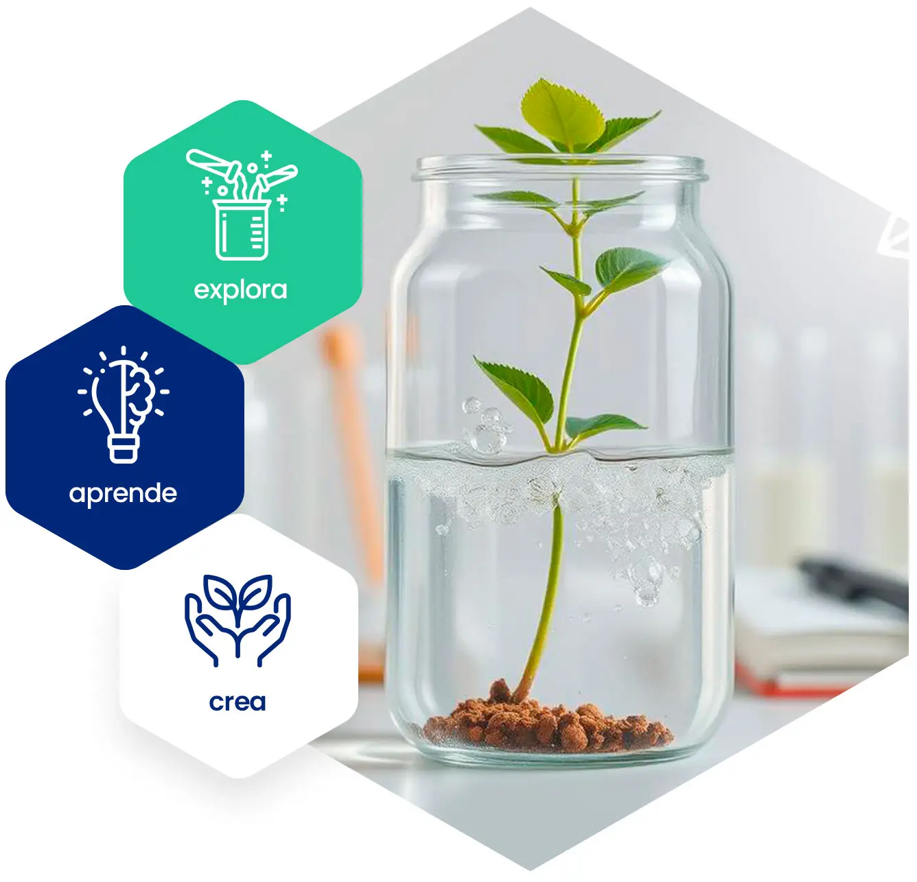 Experimentos ciencia